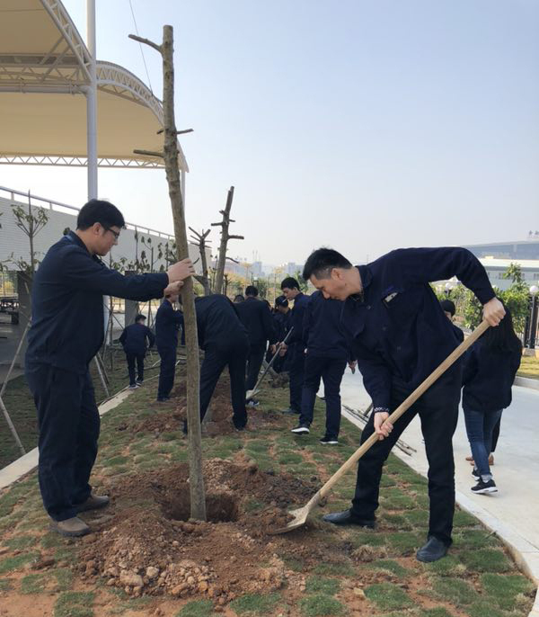 植下一棵樹  收獲萬點綠